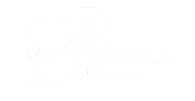 Spínola Solidaria